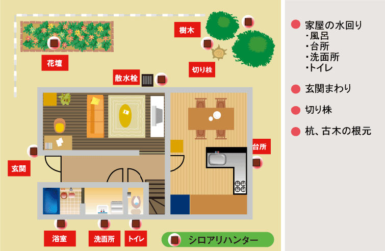 白蟻駆除シロアリハンター