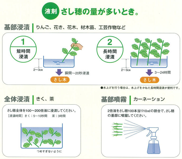 植物成長調整剤 バイエルクロップサイエンス オキシベロン 液剤 500ml さし木の発根促進剤 :4907864002941:快適クラブ.ｎｅｔ -  通販 - Yahoo!ショッピング