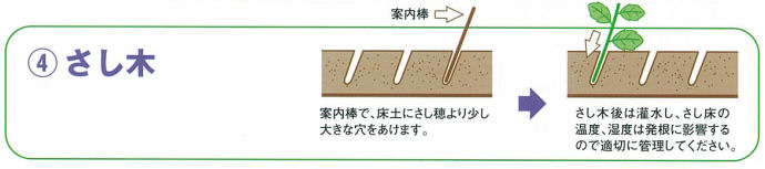 植物成長調整剤 バイエルクロップサイエンス オキシベロン 液剤 500ml さし木の発根促進剤 :4907864002941:快適クラブ.ｎｅｔ -  通販 - Yahoo!ショッピング