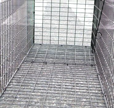 小動物捕獲器スーパー捕獲器 LL ブラック イタチ タイワンリス