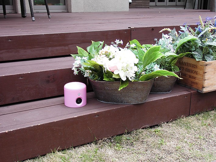 アニマルバリア・カラフルジュニア