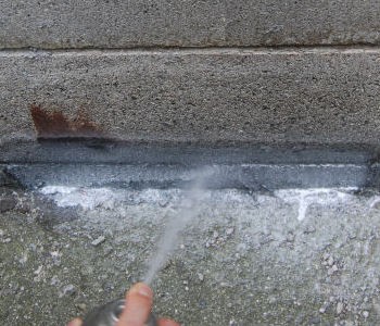 ムカデ駆除　ヤスデ退治　ゲジ駆除　アリの侵入防止に　スプレーできる粉末状殺虫剤　パウダースルー