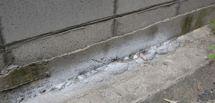 ムカデ駆除　ヤスデ退治　ゲジ駆除　アリの侵入防止に　スプレーできる粉末状殺虫剤　パウダースルー