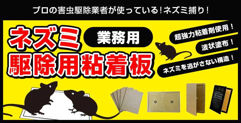 業務用粘着板 プロボードL99 両面黒 100枚 ネズミ捕り ネズミ粘着