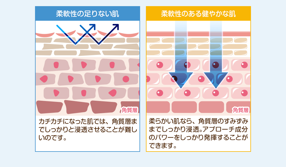 【柔軟性の足りない肌】カチカチになった肌では、角質層までしっかりと浸透させることが難しいのです。【柔軟性のある健やかな肌】柔らかい肌なら、角質層のすみずみまでしっかり浸透。アプローチ成分のパワーをしっかり発揮することができます。