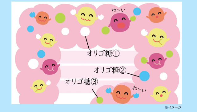 まんべんなく活性化