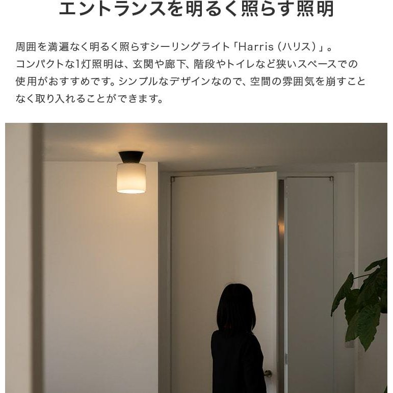 シーリングライト 1灯 ハリス|内玄関 内 玄関 おしゃれ 一人暮らし照明 照明器具 北欧 インテリア LED 電気 シーリング 天井照明 レトロ