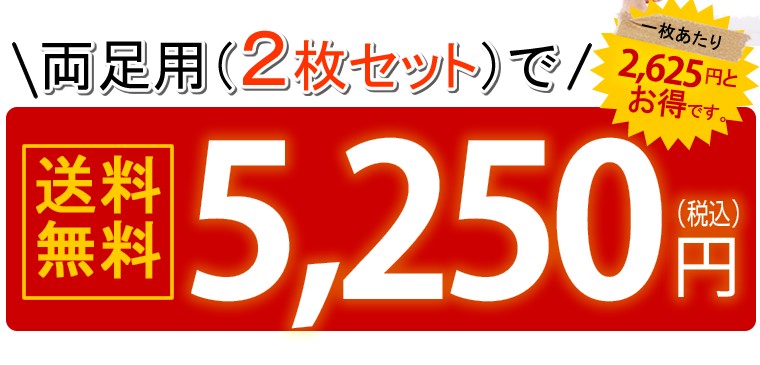 両足用　2枚セットで　5,250円　送料無料