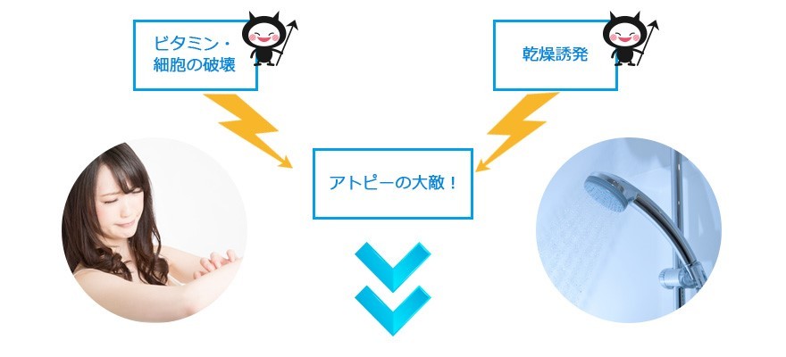 アトピーの方や敏感肌の方にオススメ】イオンシャワーeco 国内・国際