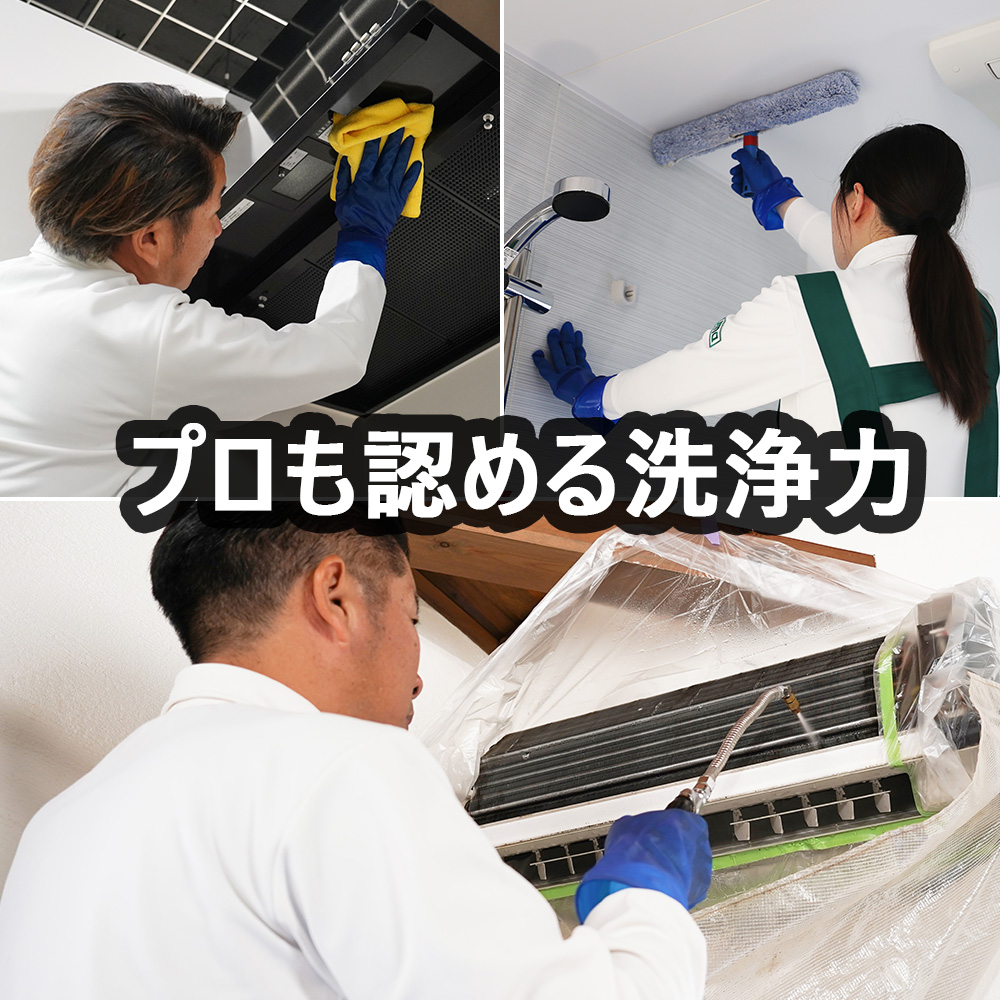 アズマジック排水パイプ洗浄剤4包入