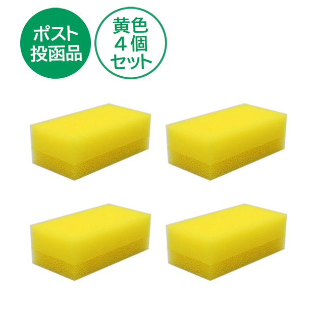ながもっち