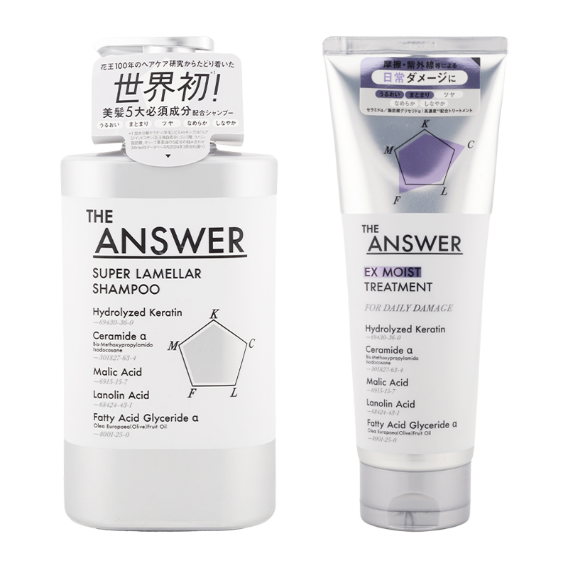 Kao THE ANSWER シャンプートリートメント FOR DAILY DAMAGE