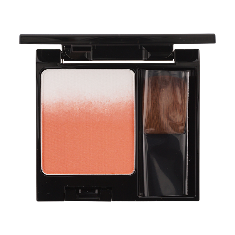 POLA BA 3Dオアシスブラッシュパレット B.A POLA ポーラB.A 3Dオアシス ブラッシュ 01 アマリリスコーラル 9g