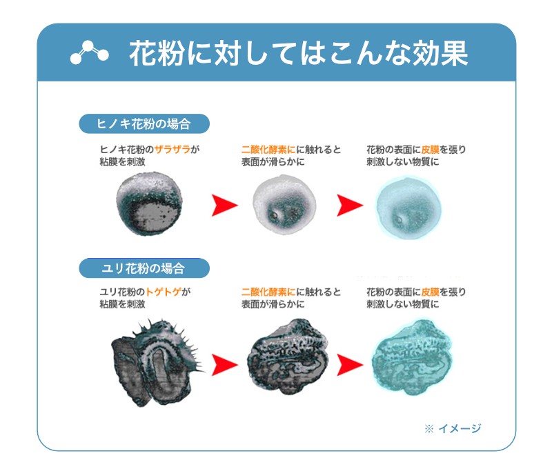 置き型 二酸化塩素 抗ウイルス対策 空間 除菌 Dr.Nova3S 200g ドクター ノバ スリーエス 4582202969010 ホテル旅館洗剤専門店スリーエス(3S) Yahoo!ショッピング 風邪 カゼ 不快虫忌避空間除菌 消臭 カビ予防 花粉症 対策 アレル物質軽減 マスク補助 風邪 カゼ 不快虫忌避 