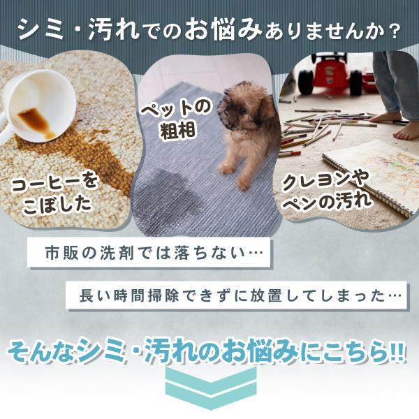 業務用 ありそうでなかった カーペット用洗浄剤 シミとりスプレー ジェットリーナ ものスタ なないろ日和！ せのぶら本舗 New Super3S 30th 240ml 4582202961014 染み抜き よく落ちる 洗剤ホテル旅館洗剤専門店スリーエス(3S) Yahoo!ショッピング  ホテル旅館が採用 ソファ イス 簡単 クリーニング しみ取り