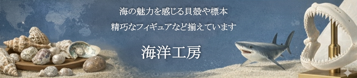 海洋工房 - サメの歯（現生標本）｜Yahoo!ショッピング
