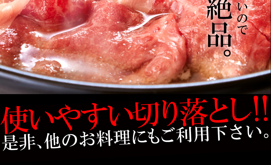 一度は食べたい!!絶品霜降ブランド牛☆九州産黒毛和牛A4・A5等級【無選別】切り落とし500g [Ａ冷凍] :NK00000041:KAJI SHOP  - 通販 - Yahoo!ショッピング