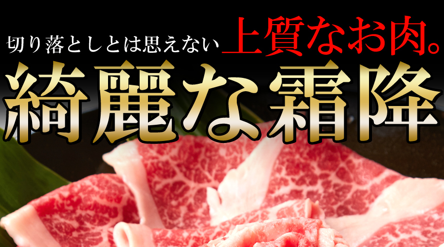 一度は食べたい!!絶品霜降ブランド牛☆九州産黒毛和牛A4・A5等級【無選別】切り落とし500g [Ａ冷凍] :NK00000041:KAJI SHOP  - 通販 - Yahoo!ショッピング