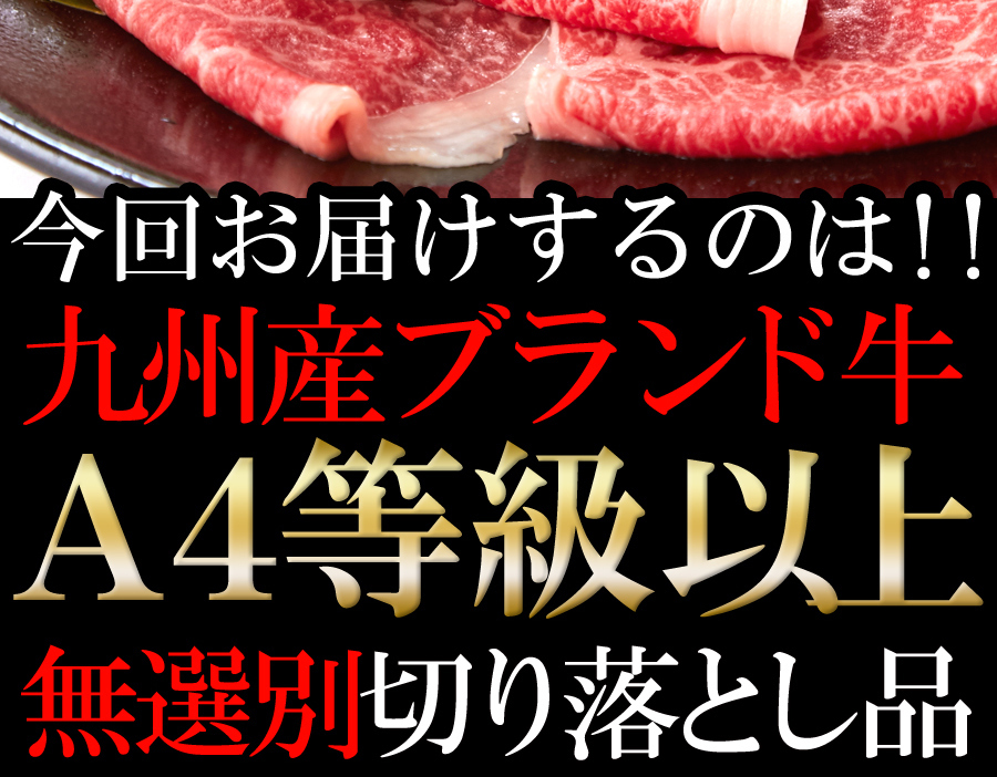 一度は食べたい!!絶品霜降ブランド牛☆九州産黒毛和牛A4・A5等級【無選別】切り落とし500g [Ａ冷凍] :NK00000041:KAJI SHOP  - 通販 - Yahoo!ショッピング