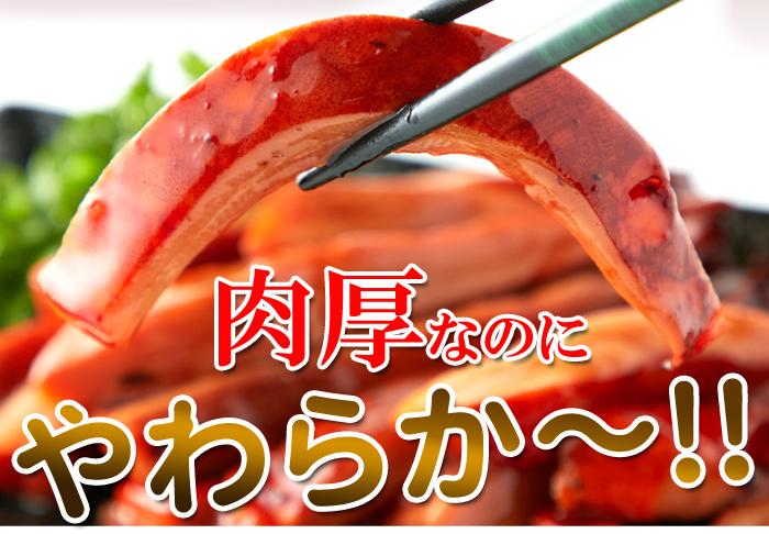 解凍するだけで食べられる!【業務用】肉厚!!イカのやわらか蒲焼き1kg[Ａ冷凍] :NK00000075:KAJI SHOP - 通販 -  Yahoo!ショッピング