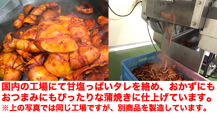 解凍するだけで食べられる!【業務用】肉厚!!イカのやわらか蒲焼き1kg[Ａ冷凍] :NK00000075:KAJI SHOP - 通販 -  Yahoo!ショッピング