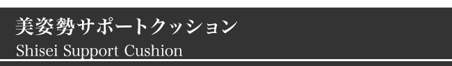 ジムファブ クッション 美姿勢サポートクッション 帯