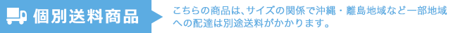 こちらの商品は、サイズの関係で沖縄・離島地域など一部地域への配送は別途送料がかかります。