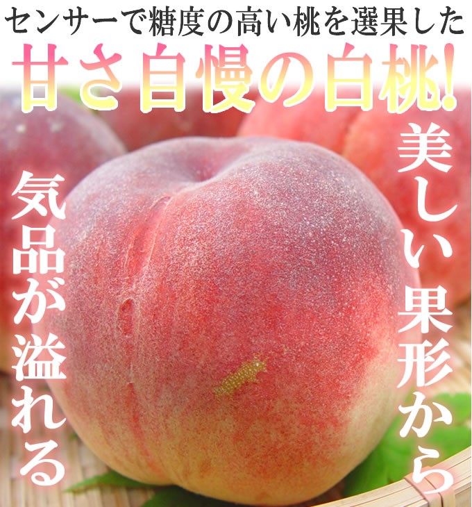 おすすめ山梨県産 桃 ８玉入り お中元ギフト 日川白鳳、白鳳、加納岩