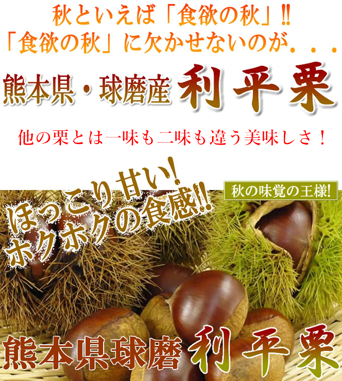 栗 利平栗 ３Ｌサイズ ３ｋｇ 熊本県産 生産量激減の幻のクリ！大粒で