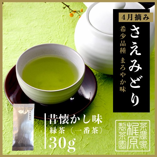 2025新茶】【嬉野茶 さえみどり(30g×1本)】茶葉 お茶 日本茶 緑茶 煎茶