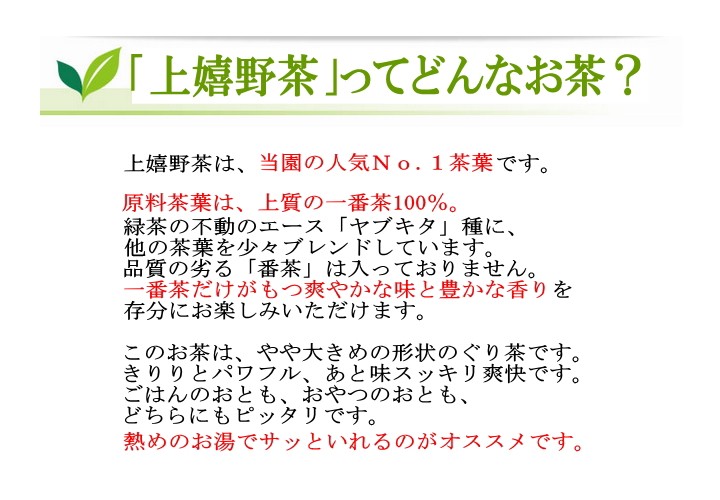 上嬉野茶(100g×1本)】茶葉 お茶 日本茶 緑茶 煎茶 うれしの茶 ぐり茶