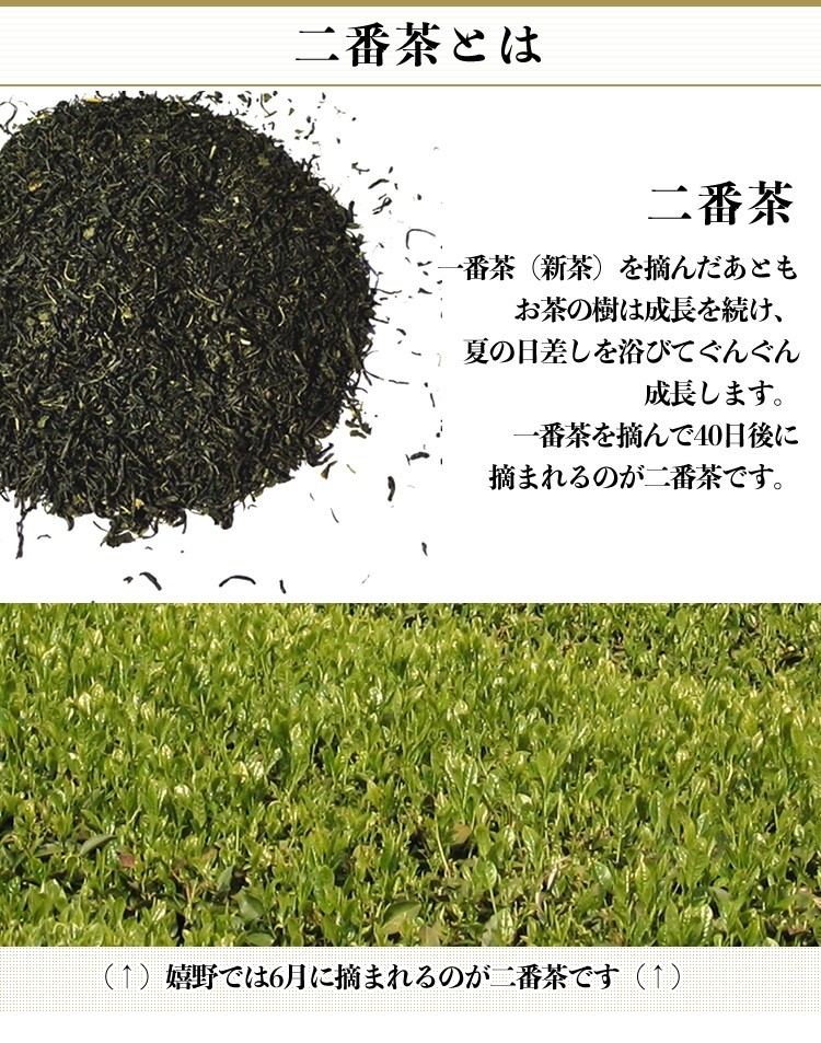 ‼️新茶‼️嬉野茶　煎茶　100g 5本セット imgrc0102592285.jpg