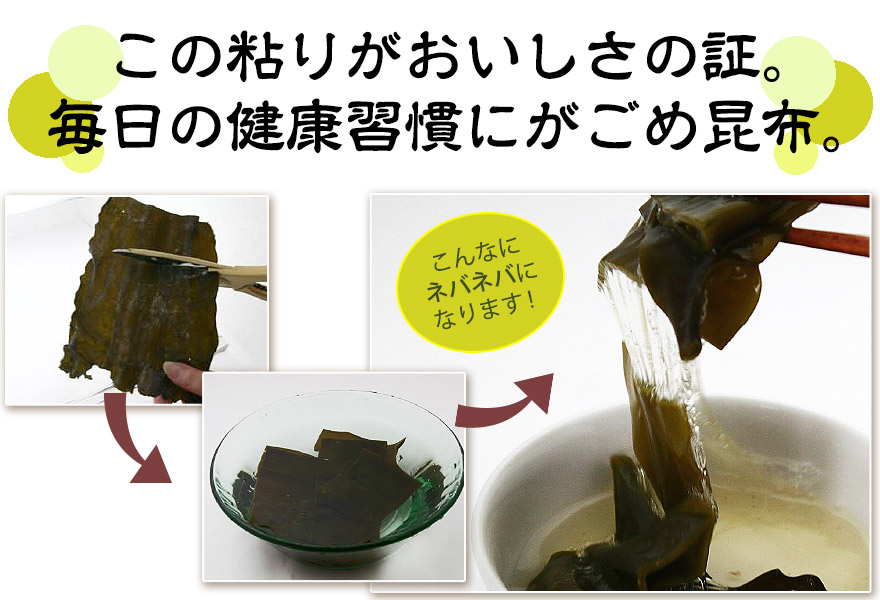 函館産　三石昆布（献上昆布） 1kg ⭐︎1等検⭐︎ 産地直送 楽天市場】【送料無料】白口浜産 献上真昆布 1Kg （1等検