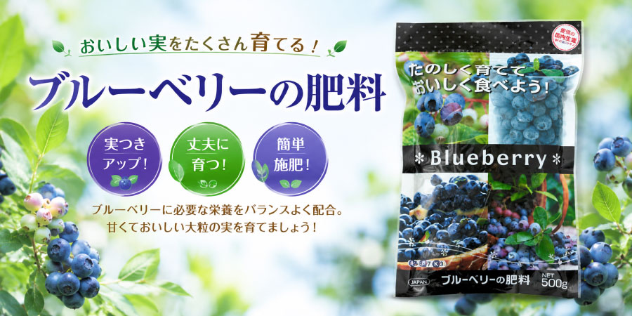 吉本花城園 【予約品】 ブルーベリー苗 選べる16品種 ハイブリッド系