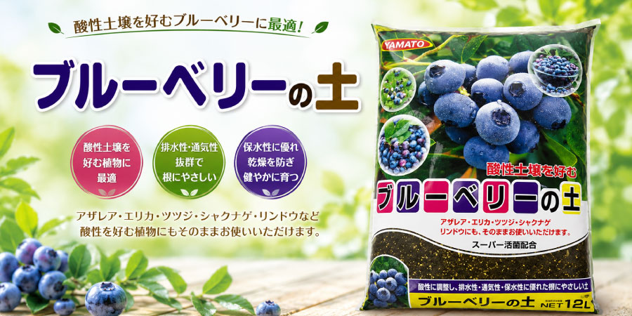 吉本花城園 【予約品】 ブルーベリー苗 選べる16品種 ハイブリッド系