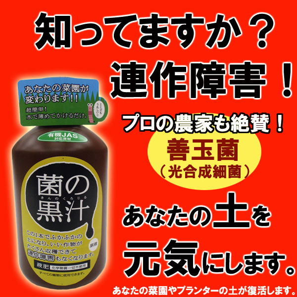img56648342.jpg