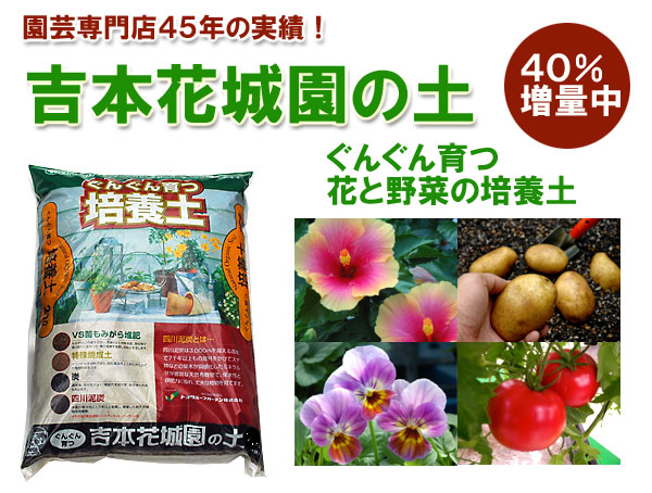 ゴーヤ 栽培用苗 観賞用花々セットご確認用です。ご購入できません。 楽々ゴーヤー栽培セット 貯水機能付き プランター ネット1 ゴーヤー苗2
