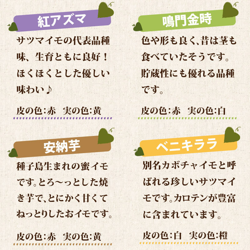 さつまいも 苗 販売 イモヅル 10本束 サツマイモ ベニアズマ 紅アズマ 安納芋 鳴門金時 紫芋 紫イモ Nae Natuyasai Satumaimo 01 Fleurtown吉本花城園 通販 Yahoo ショッピング