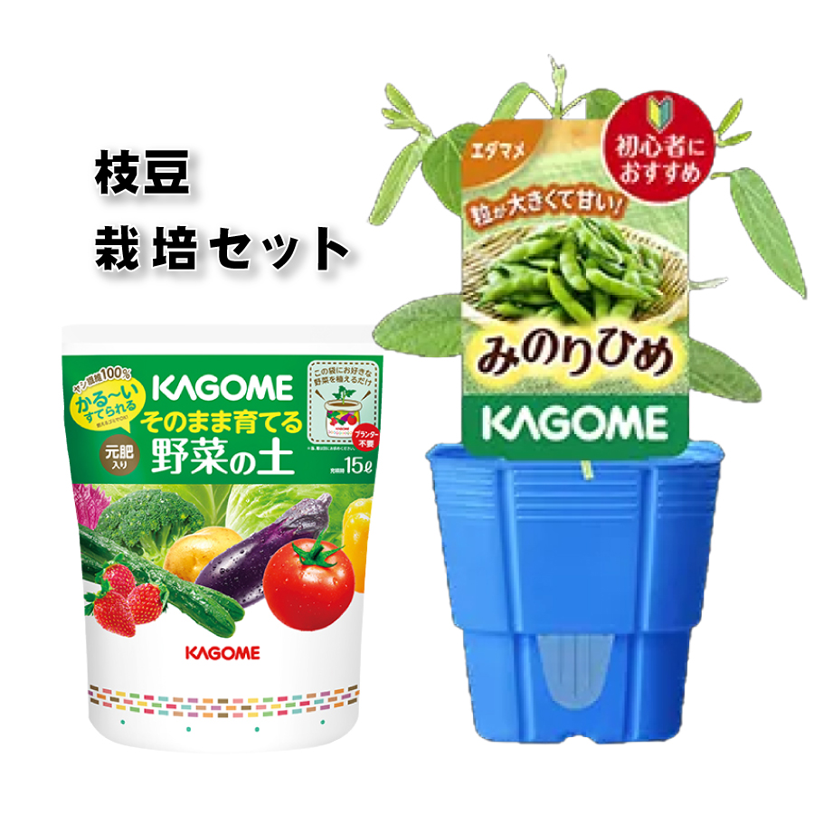 吉本花城園 KAGOME カゴメの枝豆 苗と土のセット 3号ポット 枝豆