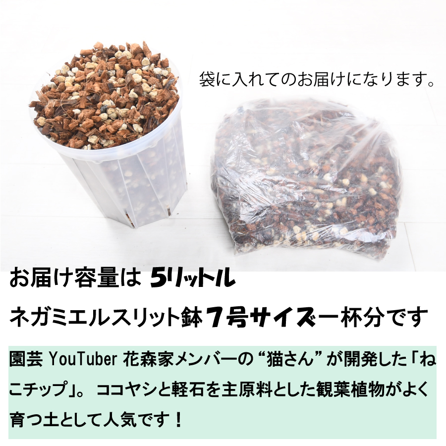 LivHeart 抱き枕 ぬいぐるみ 抱きまくら 猫 ねこ ふわふわ ねこ