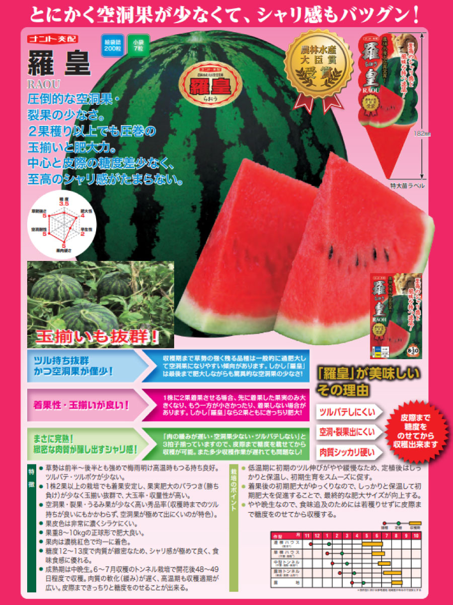 吉本花城園 野菜苗スイカ苗 羅皇 らおう ラオウ 3号ポット 接木苗
