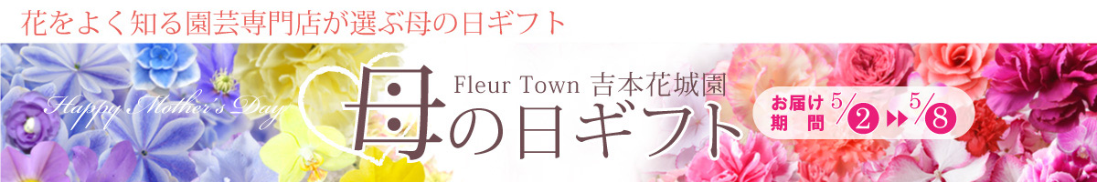 Fleurtown吉本花城園 Yahoo ショッピング