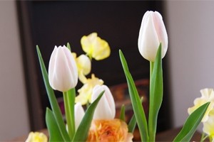 【のんさん専用】春の切花セット　ラナンキュラス　チューリップ他　生花　ネコポス ラナンキュラス チューリップ フラワーギフト 生花 プレゼント 春の