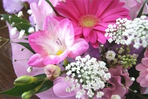 今月の旬の花　誕生花　２月　フリージア　送料無料　ネット通販花屋花樹有（かじゅある )