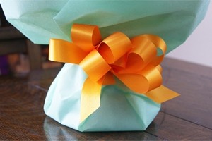 今月の旬の花　誕生花　２月　フリージア　送料無料　ネット通販花屋花樹有（かじゅある )