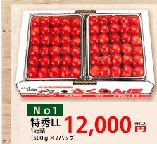 丸勘 さくらんぼ 佐藤錦 紅秀峰 特秀 ２Ｌ １ｋｇ