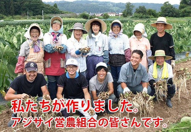 里芋 さといも サトイモ むき芋 洗い芋 山形産 悪戸芋 あくどいも