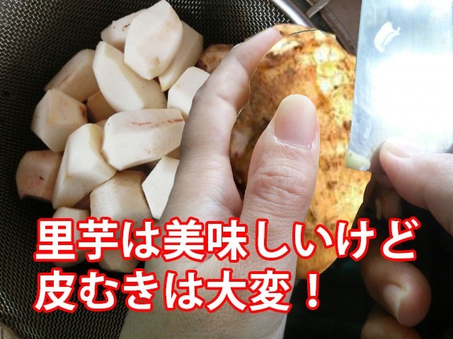 里芋 さといも サトイモ むき芋 洗い芋 山形産 悪戸芋 あくどいも