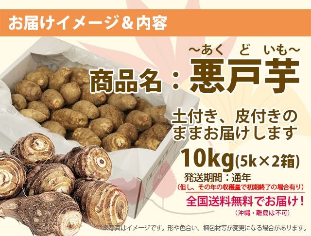 楽天ランキング1位 里芋 悪戸芋 あくど芋 10kg 山形 サトイモ さといも 土芋 土付き 皮付き 種芋 送料無料 芋煮会 収穫 旬 日本産 Blog Lonolife Com