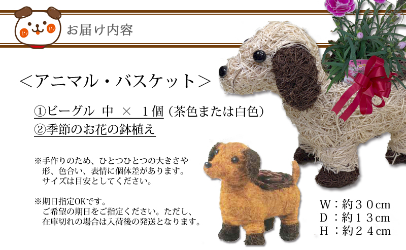 アニマルバスケット 犬 （中） 母の日 父の日 2025 プレゼント結婚記念